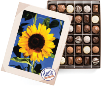 Cover of the Sunflower Chocolates